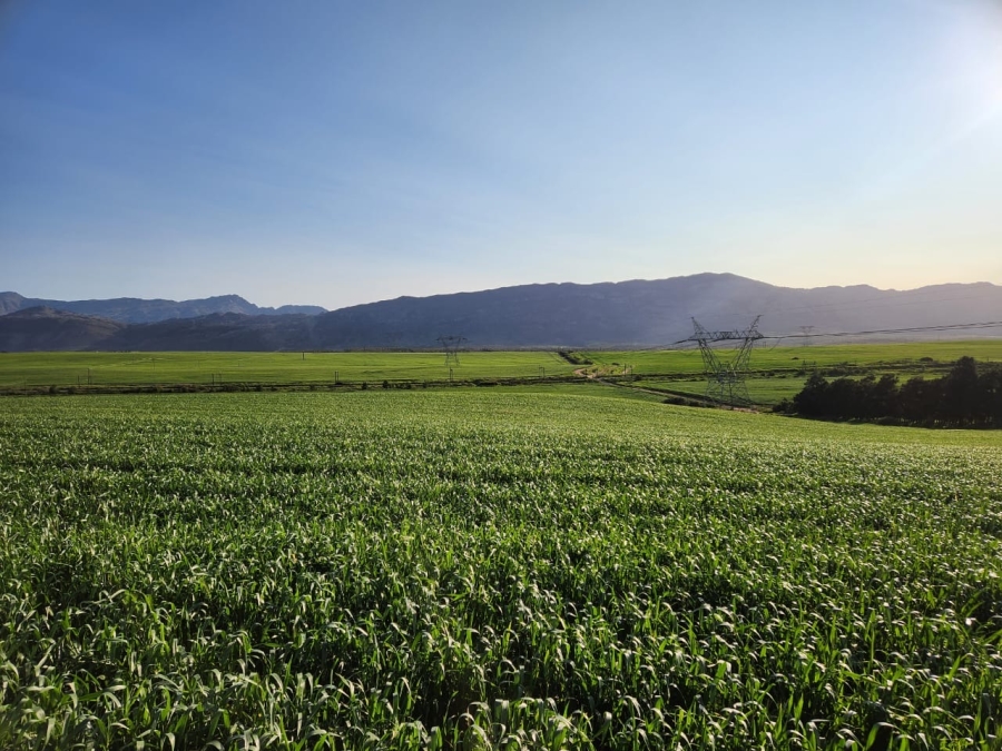 Commercial Property for Sale in Wolseley Western Cape